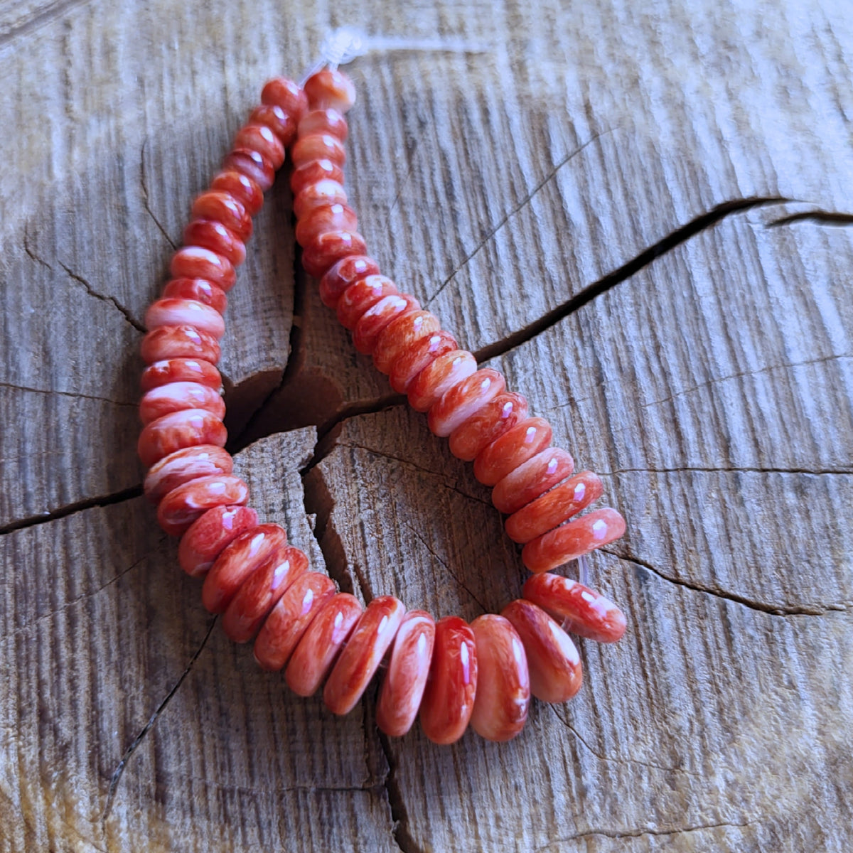 Orange Spiny Oyster Shell Beads