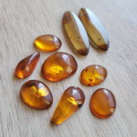 Baltic Amber Cabochon Collection