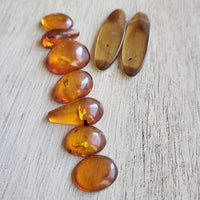 Baltic Amber Cabochon Collection