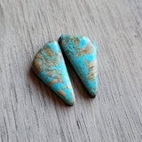 Turquoise Cabochon Pair