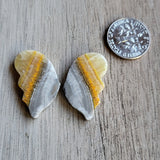 Butterfly Wing Cabochon Set